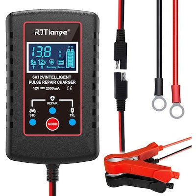 ANDOWL Q-CD1202 Portable Car Battery Charger 6V12V