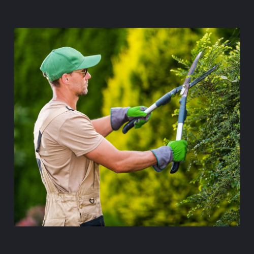 Gardening